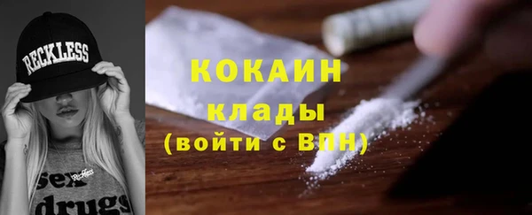индика Алзамай