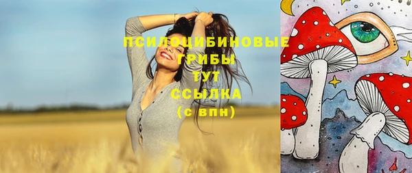 индика Алзамай